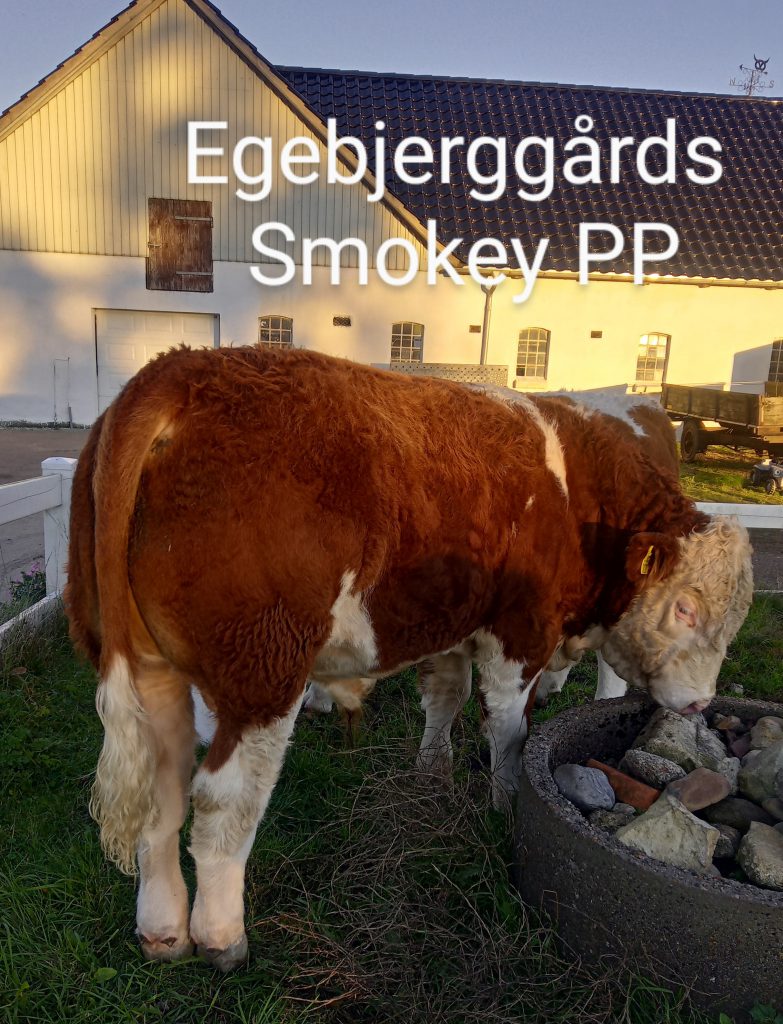 Egebjerggaard Smokey PP - 200 dage